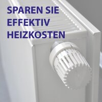 Heizkörper Entlüftungsschlüssel 2er Set (R)