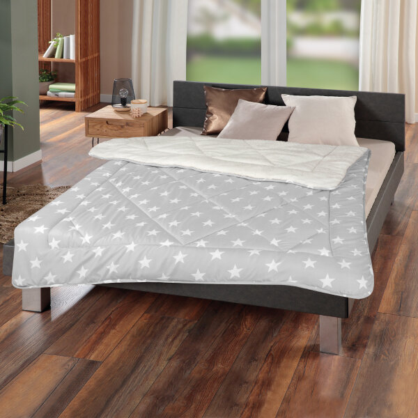 Winter Wende Steppbett Silber 135x200cm