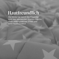 Winter Wende Steppbett Silber 135x200cm