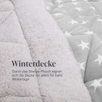 Winter Wende Steppbett Silber 135x200cm
