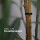 Kabelbinder 100-200mm x 3-5mm ( 60er Set ) Schwarz