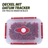 Frischhaltebox mit Deckel - Fresh System 0,9 Liter -...