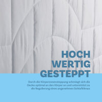 Sommer Steppdecke - mit Klimanetz und edler Biese