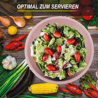 Schüssel 5er Set - Rosa