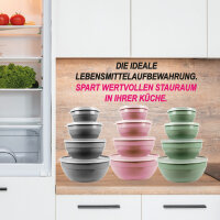 Vorratsdosen 4er Set (0,5L, 1L, 1,5L, 2,5L)rund FRESH Boden: Rosa, Deckel: Transparent