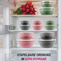 Vorratsdosen 4er Set (0,5L, 1L, 1,5L, 2,5L)rund FRESH Boden: Grün, Deckel: Transparent