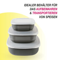 Vorratsdosen 3er Set (0,5L, 1L, 1,5L) eckig FRESH Boden: Grau, Deckel: Transparent