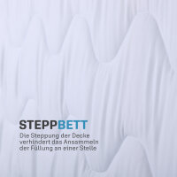 4 Jahreszeitenbett mit blauer Biese 140x200cm