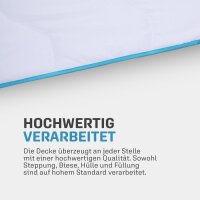 4 Jahreszeitenbett mit blauer Biese 140x200cm