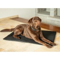 Wärmematte für Haustiere 70cm x 100cm Schwarz