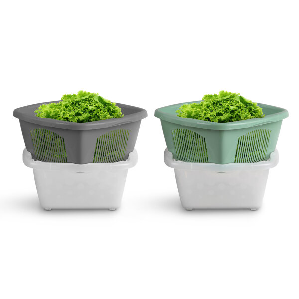 Schüßel eckig mit Sieb