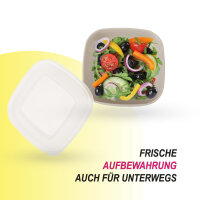 Vorratsdosen 3er Set "eckig" - Beige