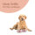 Hundenapf 2er Set ( 400ml ) Pink (R)