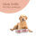 Hundenapf 2er Set ( 850ml ) Pink (R)