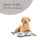 Hundenapf 2er Set ( 850ml ) Grau (R)