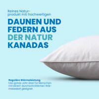 Kopfkissen Mountain Peak - 40x80cm,500g,  80% Federn/20% Daunen