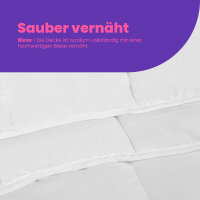 Betten-Set "Sabine" Kopfkissen 80x80cm und Bettdecke 135x200cm