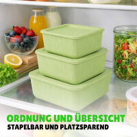 Vorratsdosen California 3er Set grün,0,5/1/1,5L