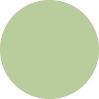 Vorratsdosen California 3er Set grün,0,5/1/1,5L