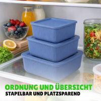 Vorratsdosen California 3er Set blau, 0,5/1/1,5L