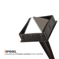 Solar Stecklampe Schwarz 28,5 cm (R)