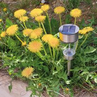 Solar LED Lampe rotierend