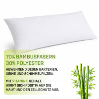 Kopfkissen Economy Bambus 40x80