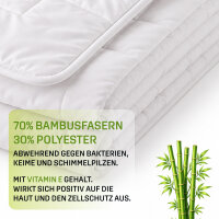 Leichtsteppbett Economy Bambus, ca. 135x200cm